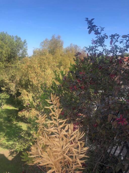 Casa Incantevole Con Vista Parco Appia Antica Villa Rome Luaran gambar